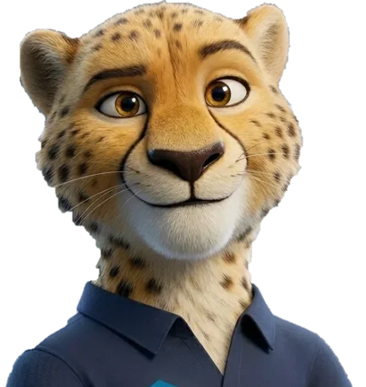 הצ'יטה של ש.מ מחשבים